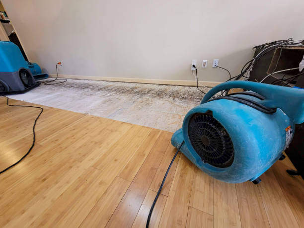 Professional Flood Damage Cleanup technician working in Ithaca, MI